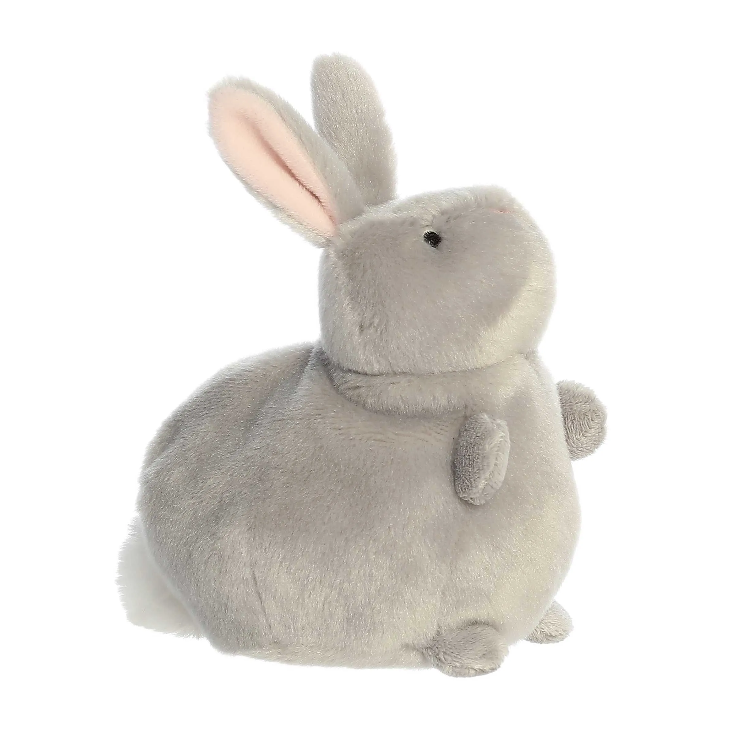 Aurora® - Spring - Pudgeez™ - 7" Greg Bunny™
