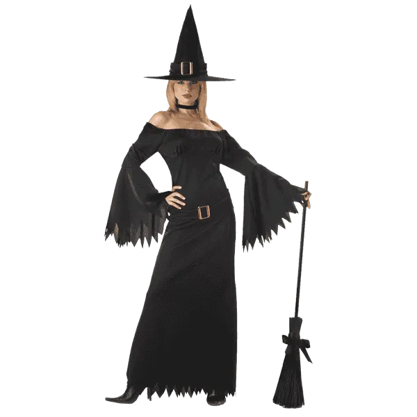California Costumes Women's Elegant Witch Costume
