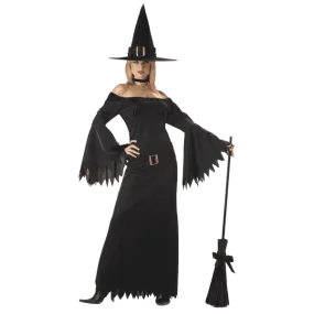 California Costumes Women's Elegant Witch Costume