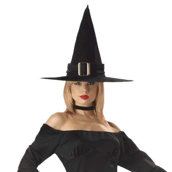 California Costumes Women's Elegant Witch Costume