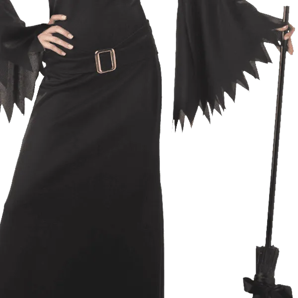 California Costumes Women's Elegant Witch Costume
