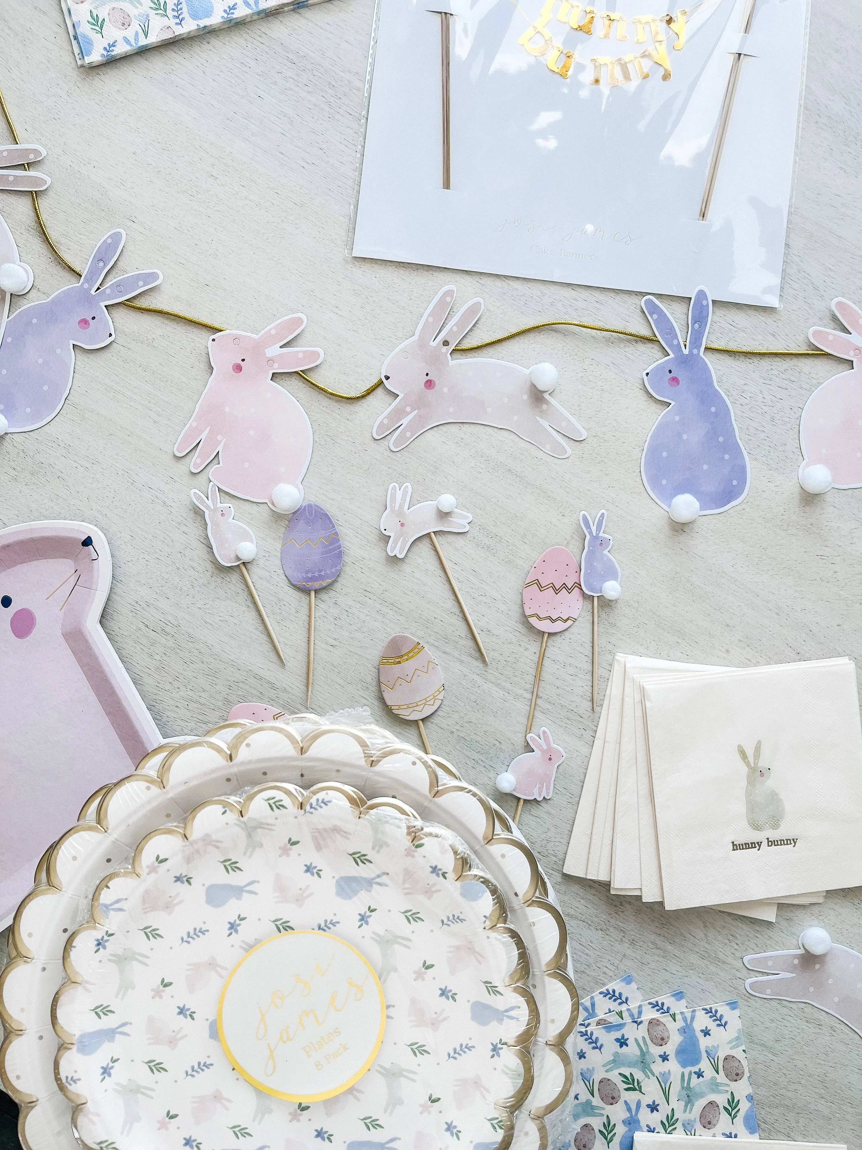 Easter Bunny Banner