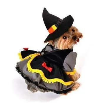 Scarecrow Witch Costume