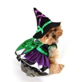 Scary Witch Costume